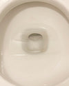 Close up of a clean toilet bowl